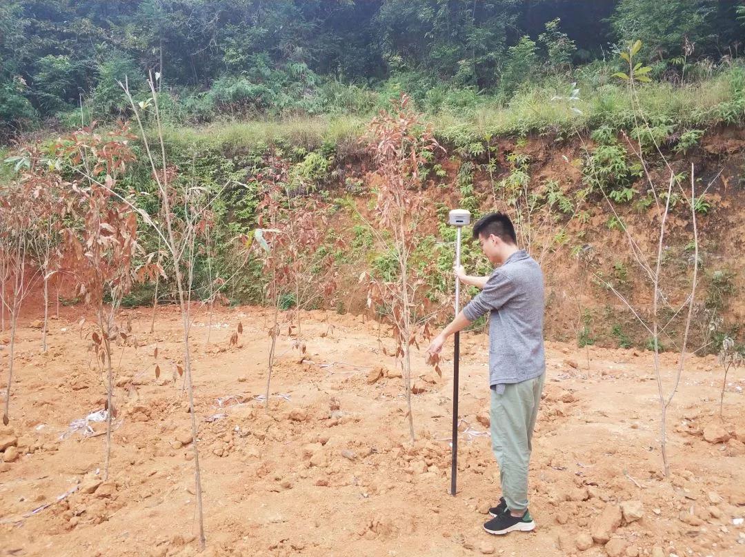 地皮规划部项目纪实丨1066vip威尼斯人，助力荒地变桑田！