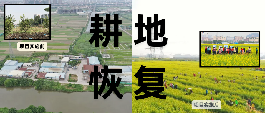 耕地；び刖梅⒄构踩凇褐惺泻窠终蛩谏缜读继锵钅扛馗丛氤窍缛诤系拇葱率导