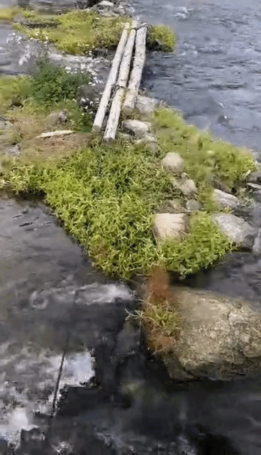 1626078617191575