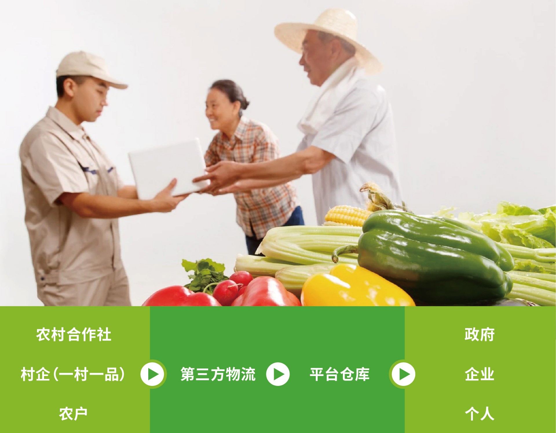广粮图文介绍5.jpg