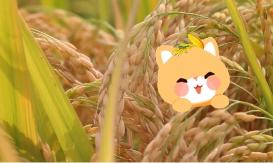 微信截图_20240104165640.png